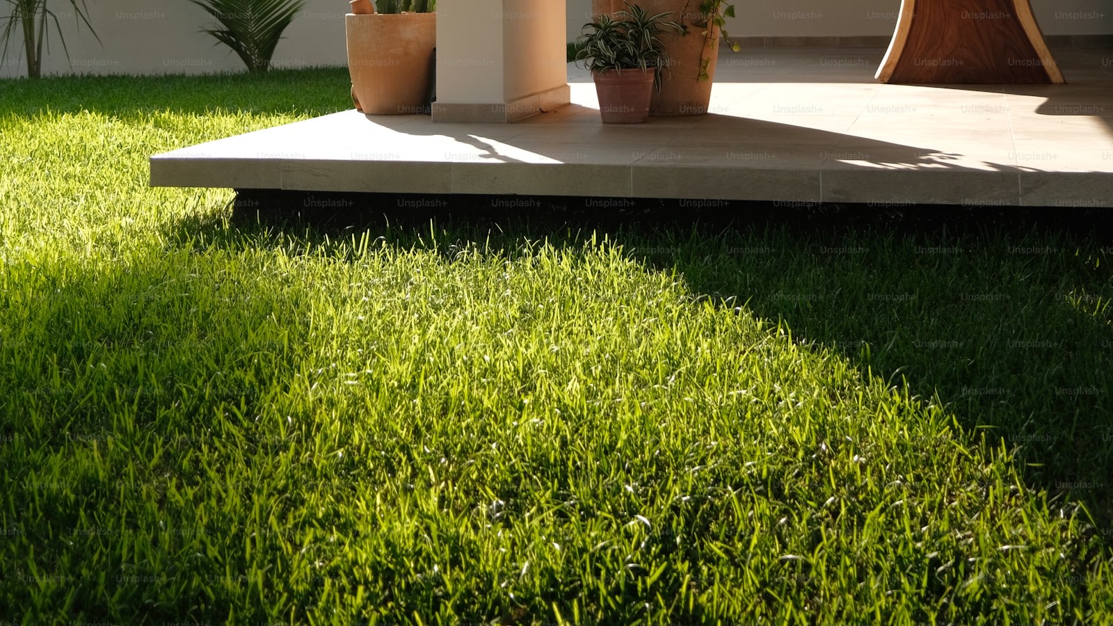 芝生と植栽のある住宅