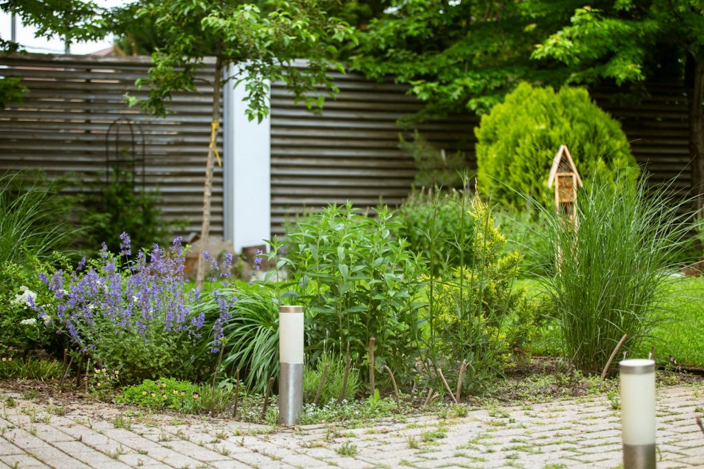木製フェンスに沿って草花を植えた庭