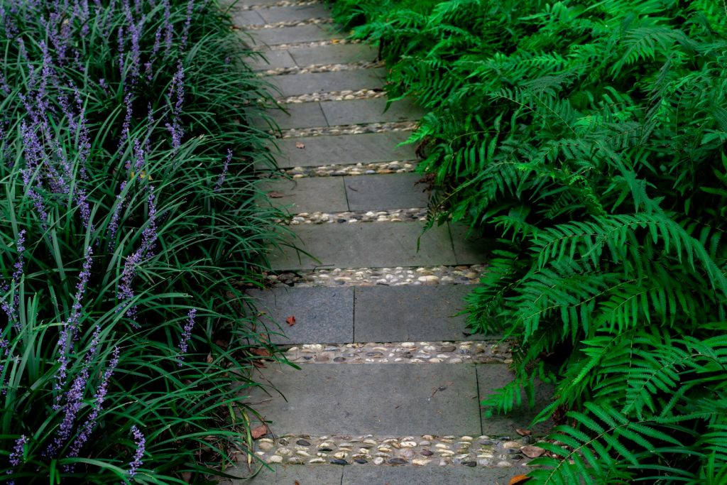 石畳の小道に下草を植えた庭