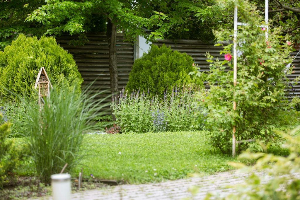 植栽と芝生、石畳の小道がある住宅の庭