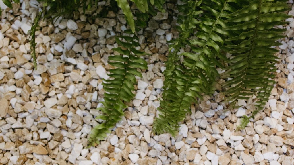 砂利敷きと植栽で整えられた地面